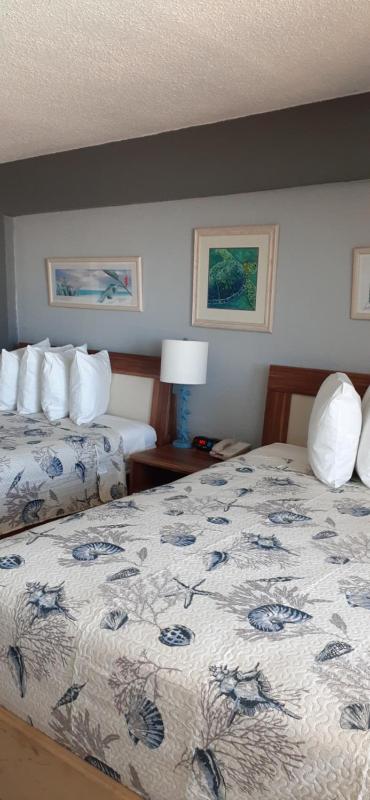 Daytona Beach Hawaiian Inn - image 29