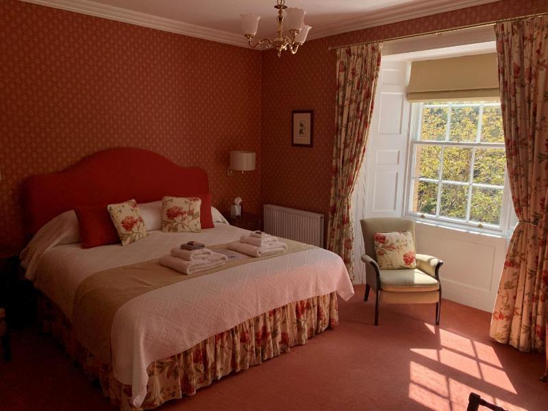 Superior King Room image 1