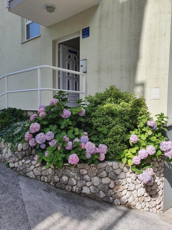 Apartments Ivana - image 17