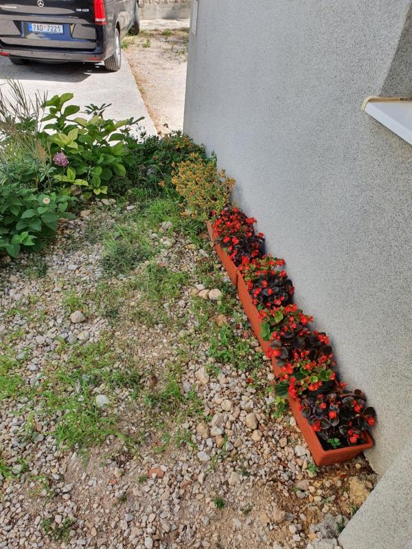 Apartments Ivana - image 20