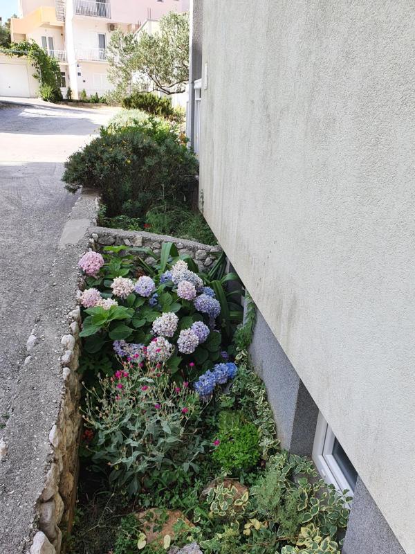 Apartments Ivana - image 16