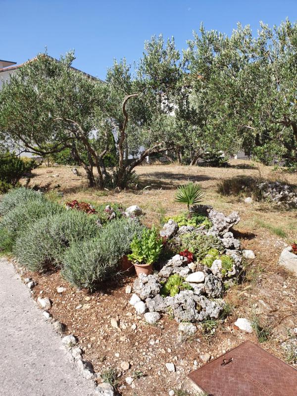 Apartments Ivana - image 34