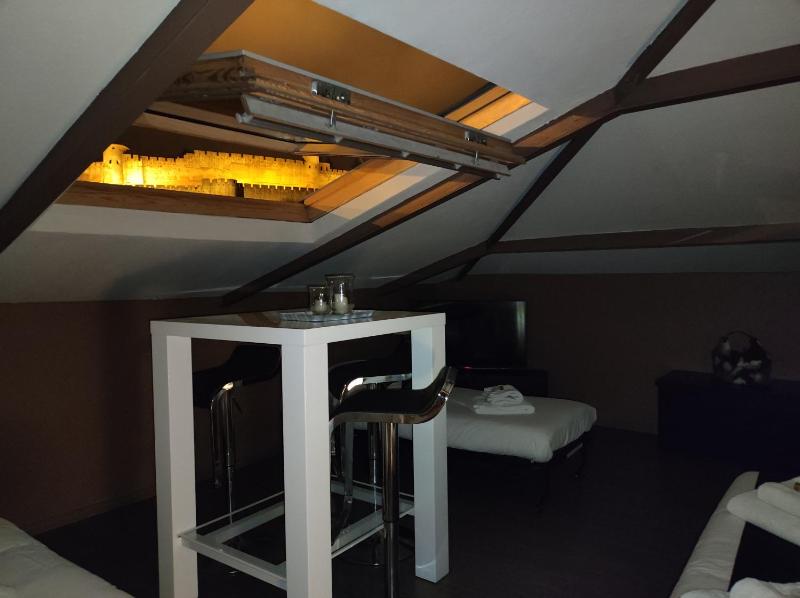 La Villa Carcassonne Chambres d hôtes B&B face à la Cité Médiévale - image 17