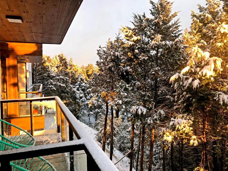 Departamento HOME - Vista Lago y Bosque - - image 13