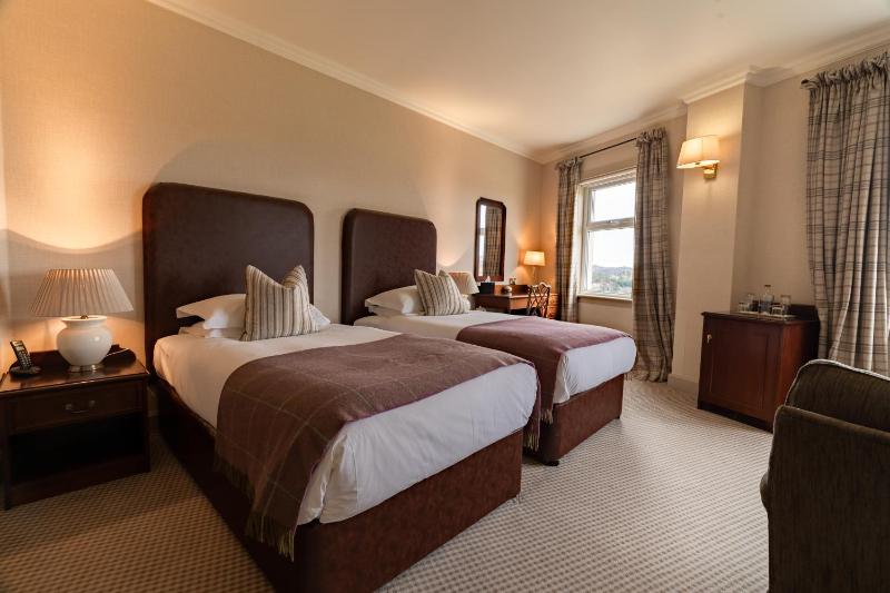 Superior Double or Twin Room image 2