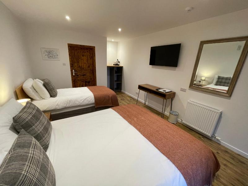 Large Twin Room image 1