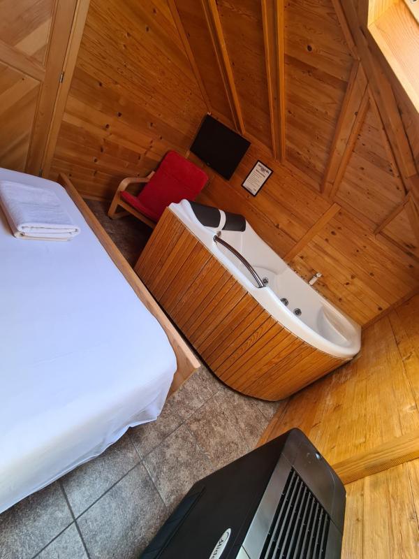 Superior Apartment with Sauna image 3