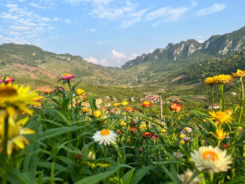 Mường Sang Farmstay - image 25
