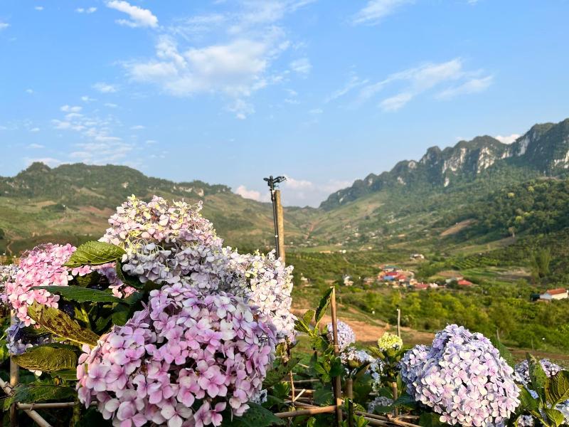 Mường Sang Farmstay - image 7