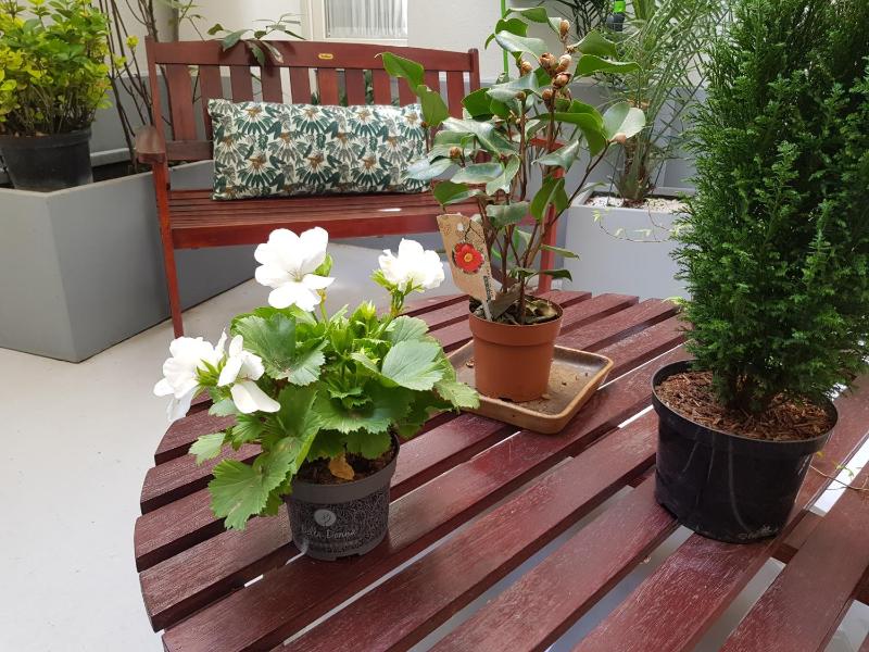 Queen Room with Garden View image 1