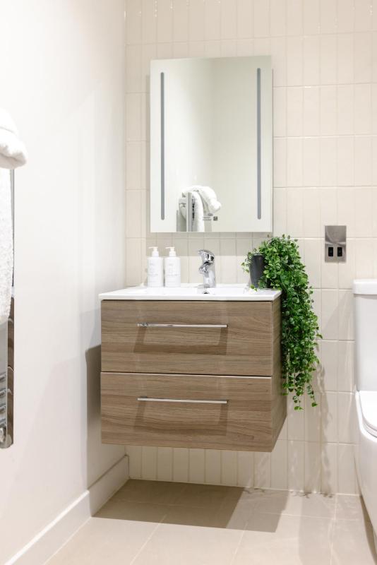 One-Bedroom Apartment image 2