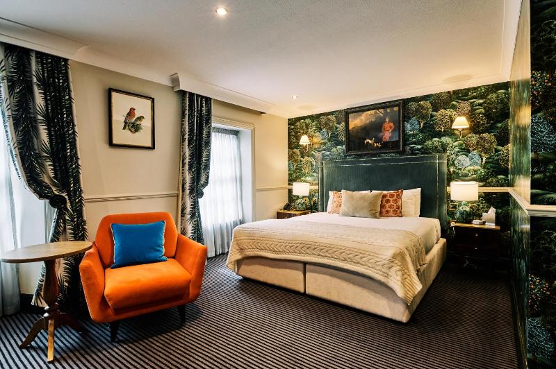 Deluxe King Room image 1