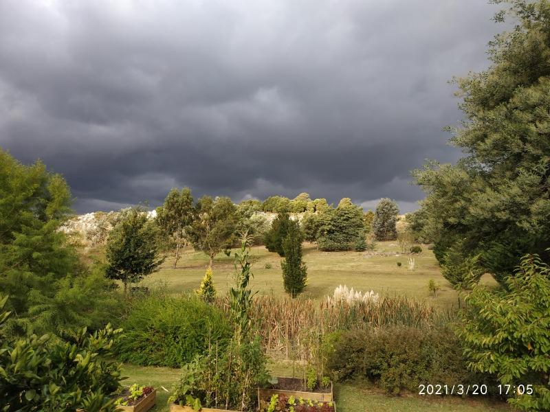 Las Golondrinas - image 4