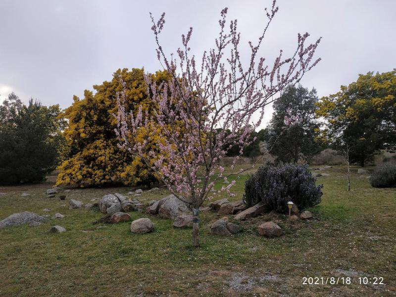 Las Golondrinas - image 47