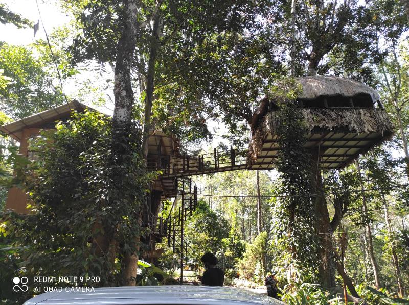 Jungle Tree House Munnar - image 21