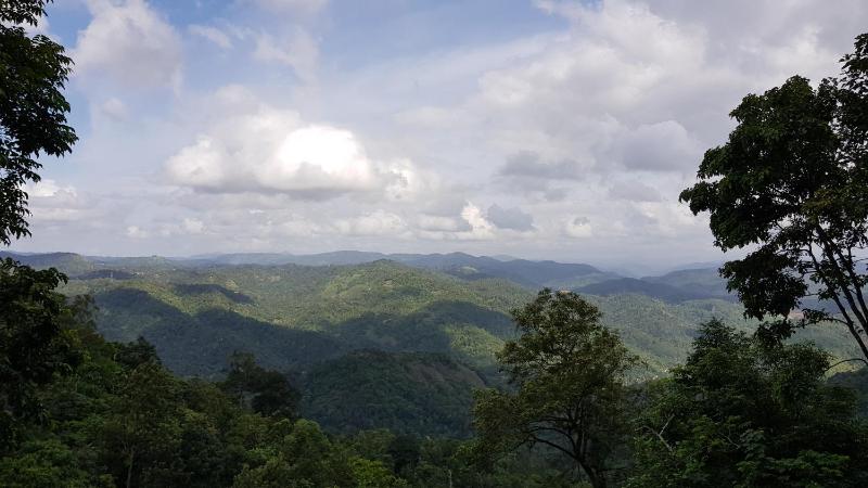 Jungle Tree House Munnar - image 24