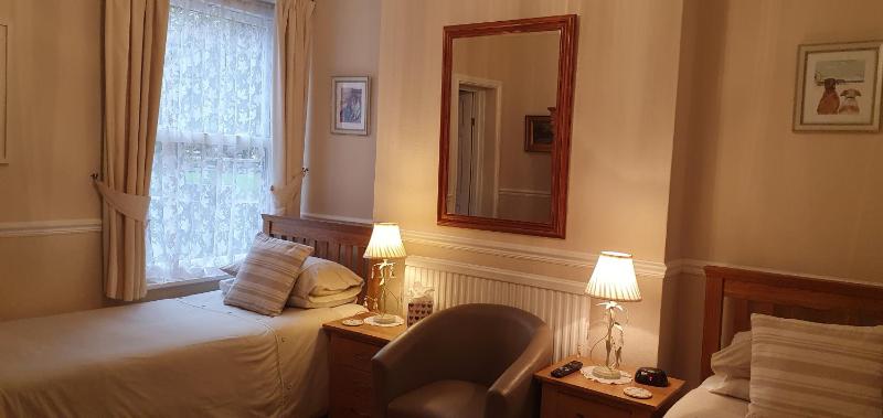 Standard Twin Room image 1