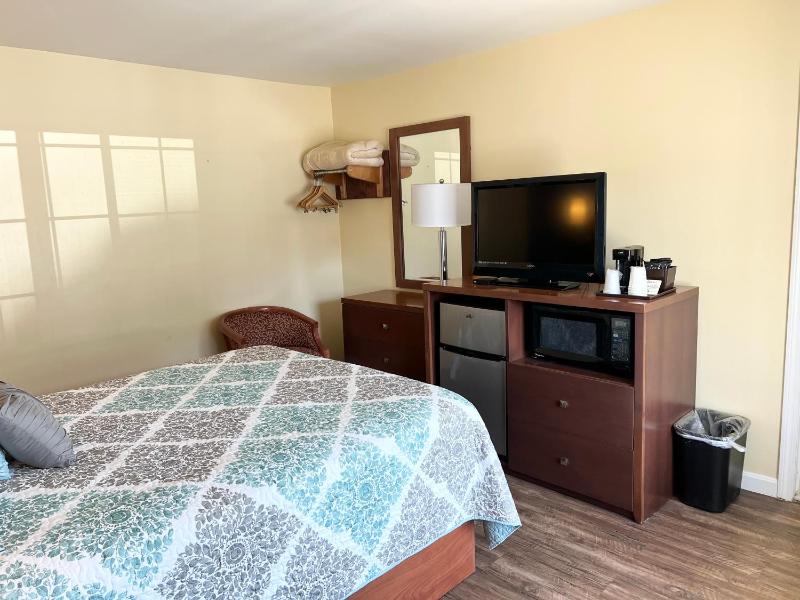 Standard Room 1 Queen Bed with Sofa Bed & Kitchenette image 4