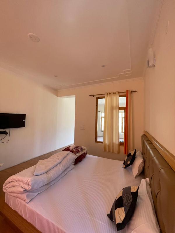 Hotel DZI Ladakh - image 7