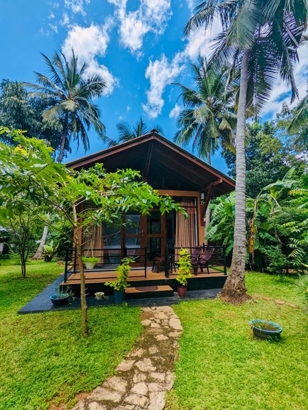 Mango Tree House Images