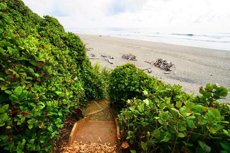 Salal Bluff - image 31