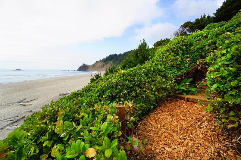 Salal Bluff - image 23