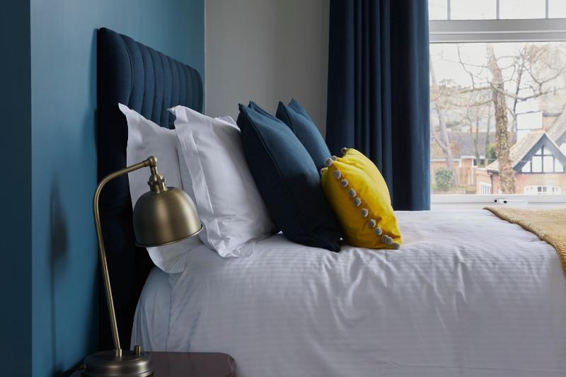 Deluxe King Suite image 2
