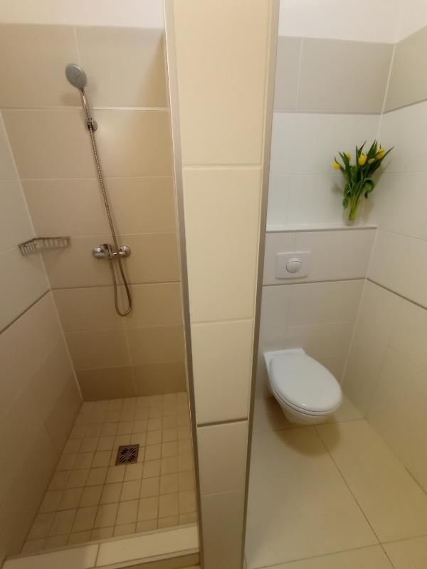 One-Bedroom Apartment image 3