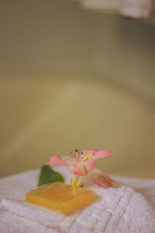 Pipa Ecovila Master - image 15