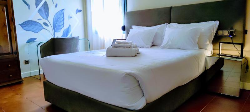 Deluxe Single Room image 2
