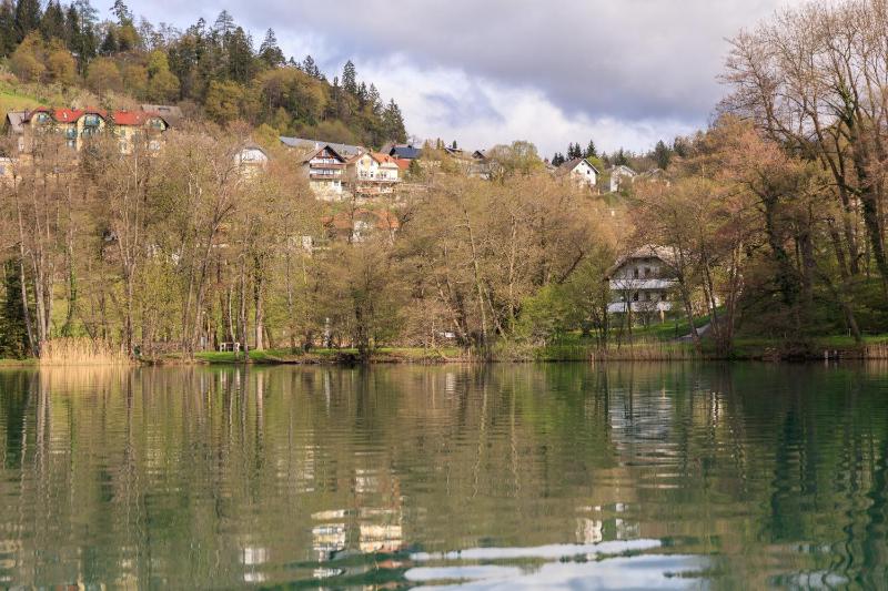 Three-Bedroom Apartment with Terrace and Lake View image 3