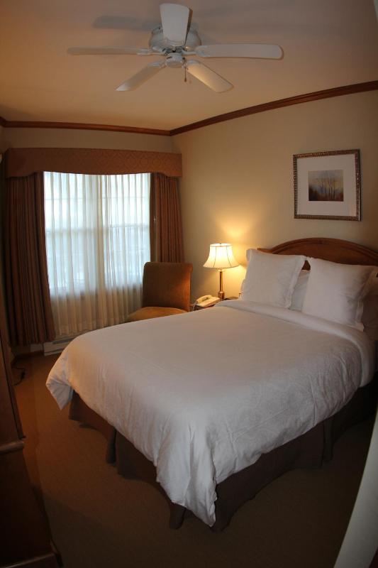 Queen Suite-Garden View image 4