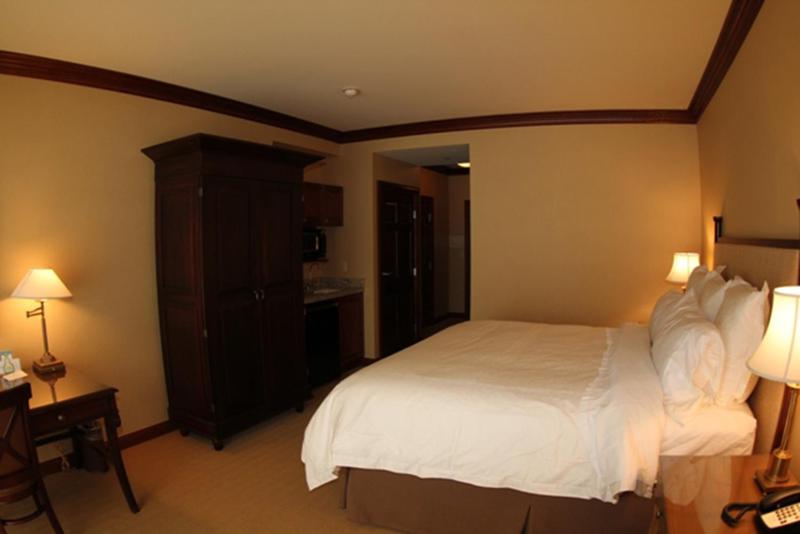 Deluxe King Suite-Garden View image 4