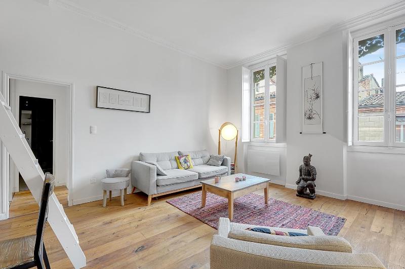 LE CODRUS - Charmant appartement dans l'hyper centre toulousain - image 4