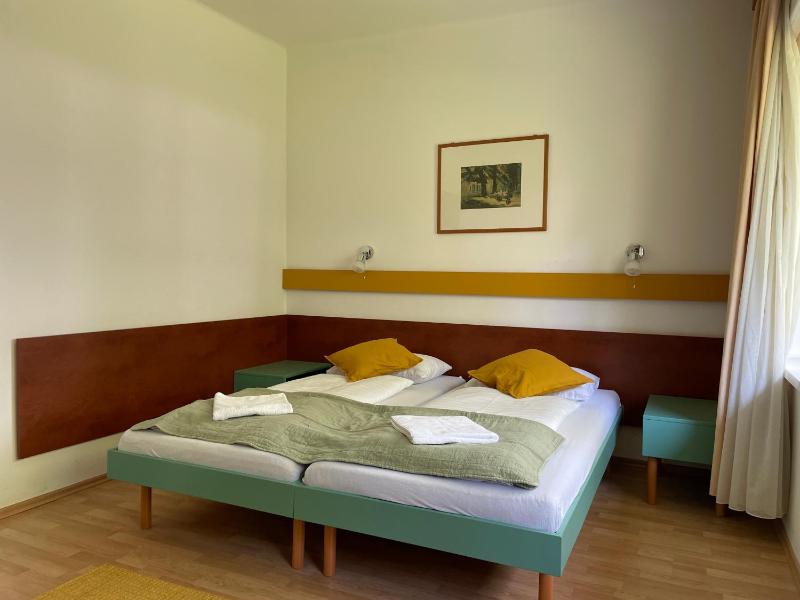 Superior Large Twin Room image 3