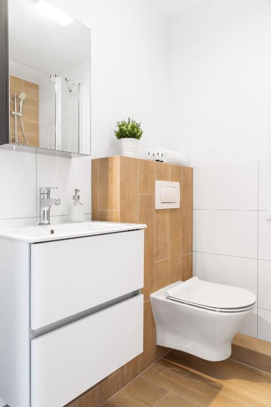 Studio Apartment image 4