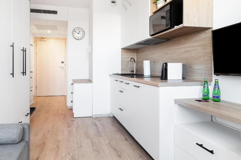 Studio Apartment image 4