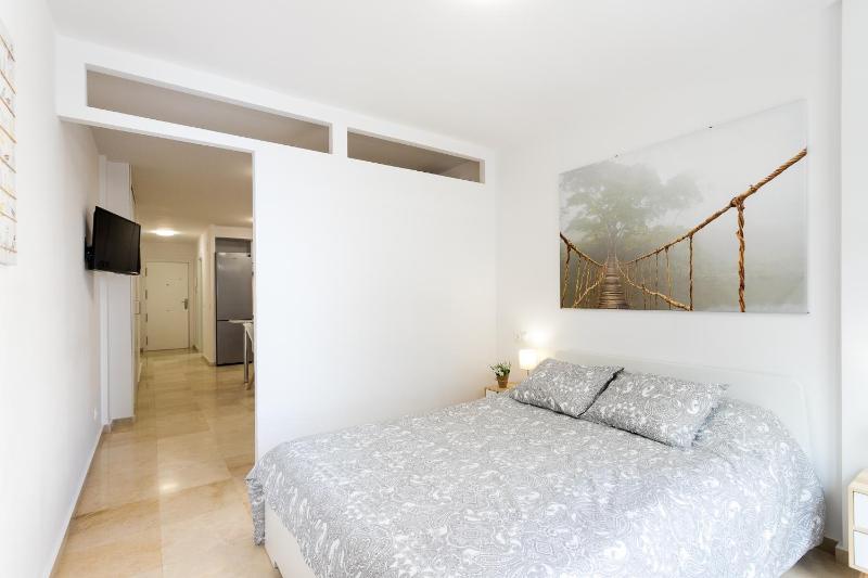 Apartamentos Edf AUREA y Edf SARVACHO - image 9