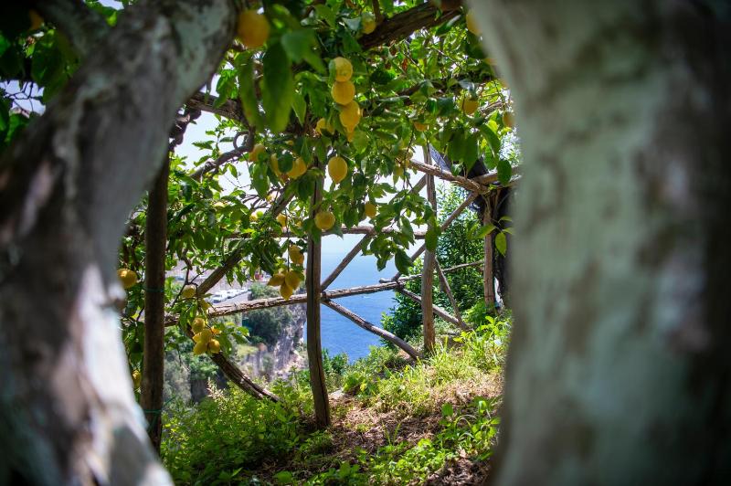 Hotel La Pergola - image 12