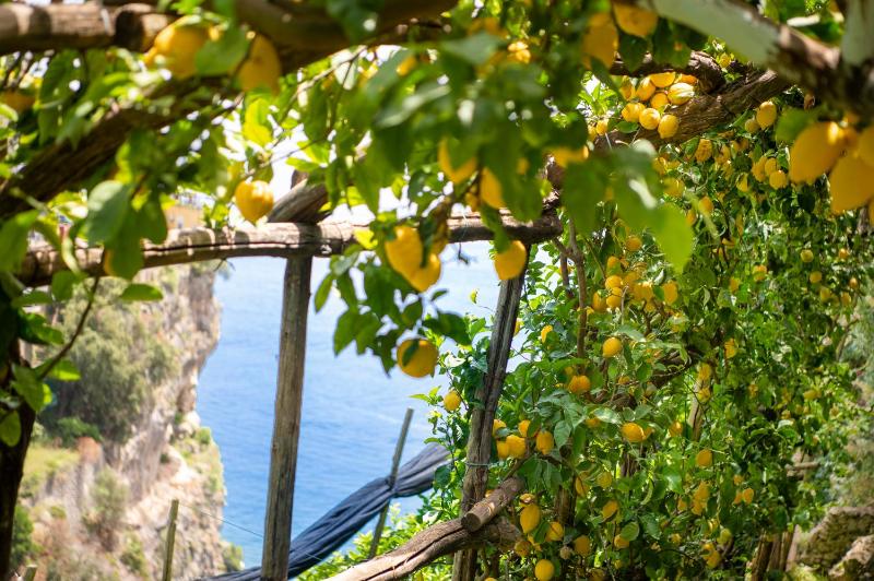 Hotel La Pergola - image 23