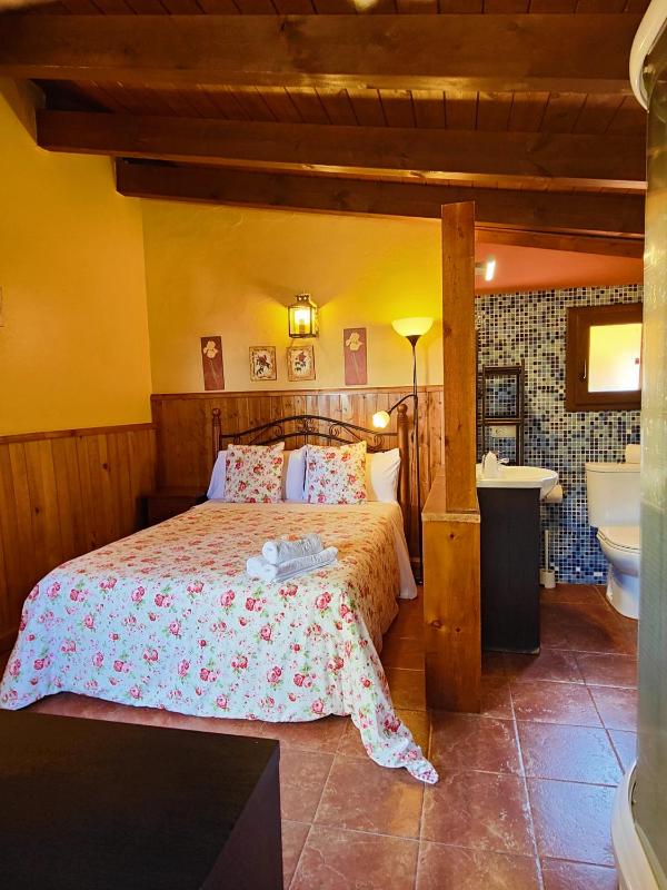 Single Room image 4