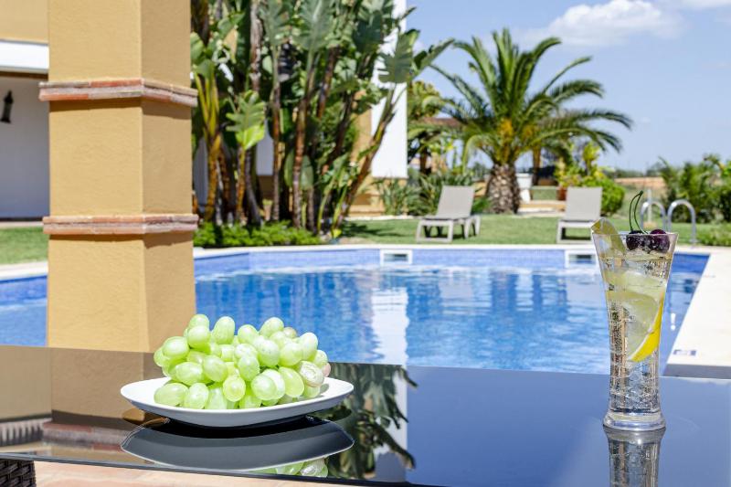 Quinta Dionysus by Algarve Holidays - image 31