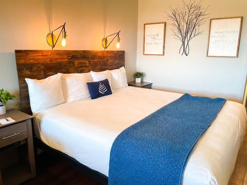 King Room image 4