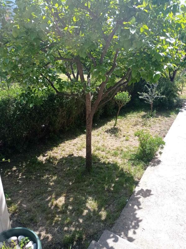 Apartment Ivan - image 11