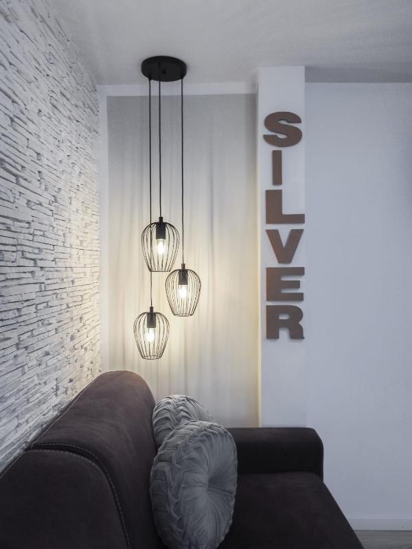 For You Apartments Gold & Silver - image 12