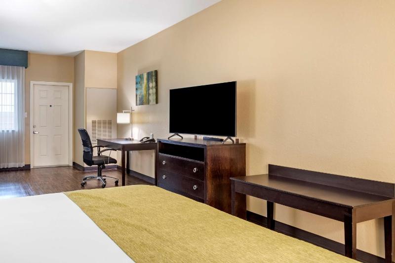 Best Western Plus Galveston Suites - image 12