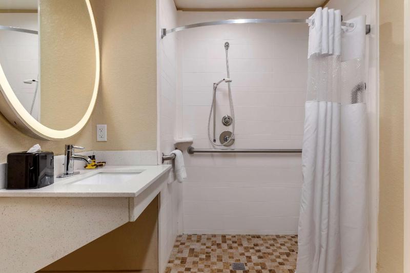 King Suite - Disability Access with Roll-in Shower image 2