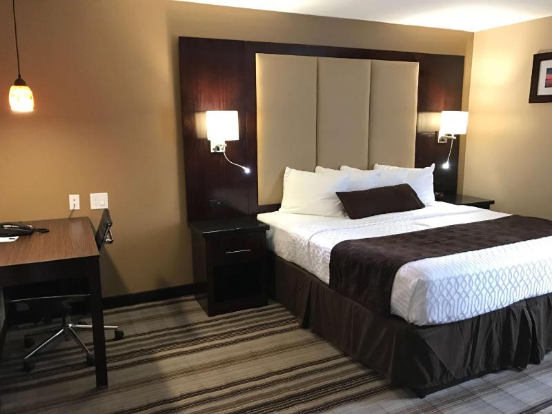 King Room with Roll-In Shower - Disability Access image 3