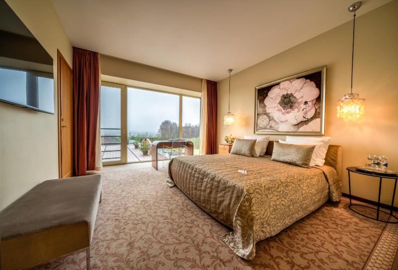 Double Room with Spa Access image 1