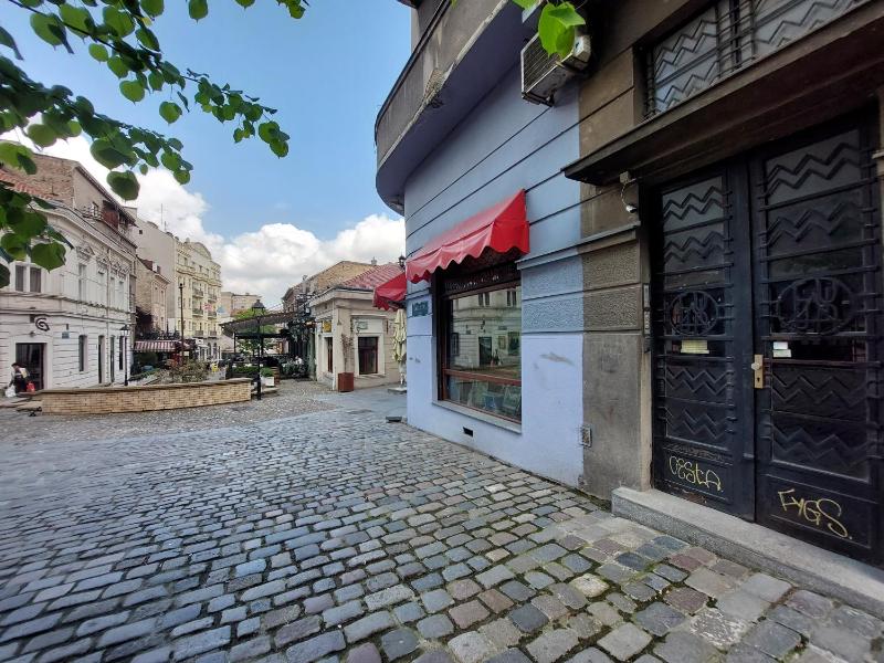 Heart of Belgrade Skadarlija Apartment - image 8